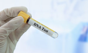 DNA test. TrueTest Labs in Chicago, IL.